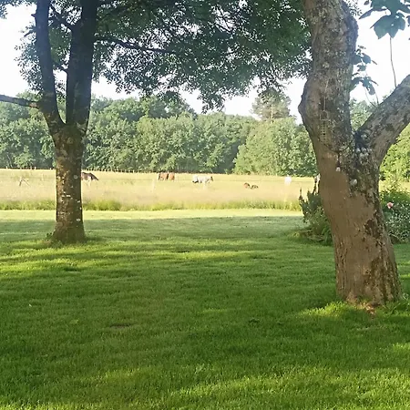 Apartment Le De Larouquey